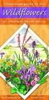 Illustrated guide to wildflowers of Northern South Africa